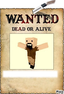 wanted notch Montage photo