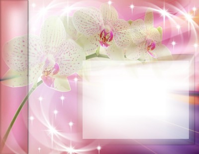 ORCHIDEES Photomontage