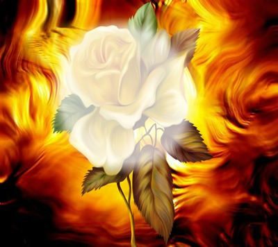 Liebe gleicht den Duft der Rose Fotomontáž