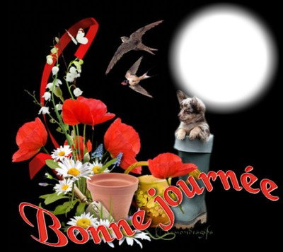 Bonne journée Photomontage