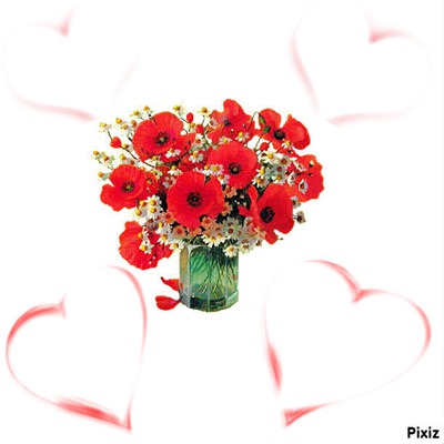 Bouquet de coquelicots Fotomontaggio