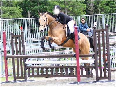 love horse Fotomontāža