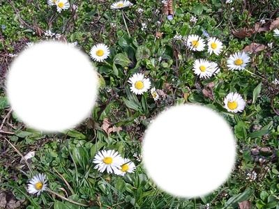 en fleurs Fotomontage