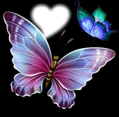 Mariposas coloridas Montaje fotografico