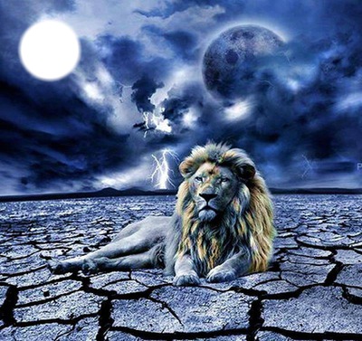 LION Photomontage