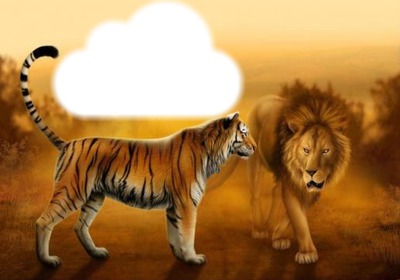 cadre de tigre et lion Фотомонтажа
