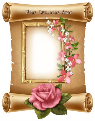 Cc pergamino,marco flores y rosa. Fotomontažas