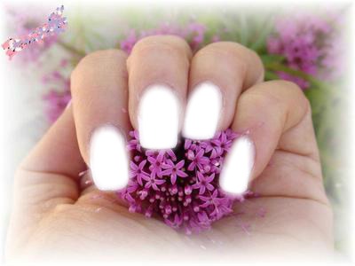 lilas et ongle Photo frame effect
