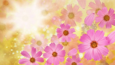 In Flowers Fotomontage