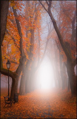 automne Fotomontaža