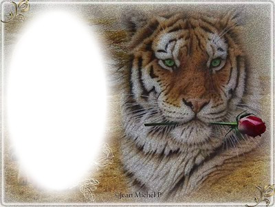 tigre Photo frame effect