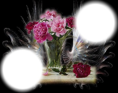 rosas Photo frame effect