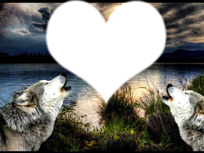 loups a la lune Photomontage