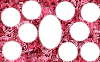 cadre rose Fotomontaż