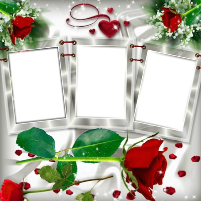 cadre fleurs* Photo frame effect
