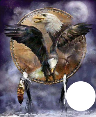 eagles Fotomontasje
