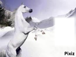 cheval des neige Montaje fotografico