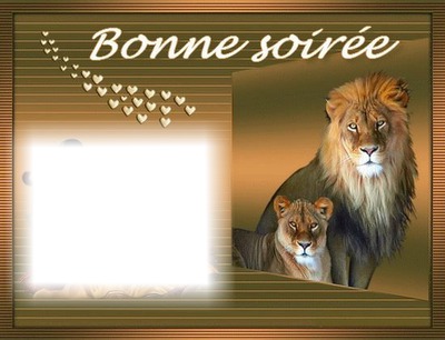 lions Photo frame effect