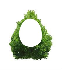 buisson Photo frame effect