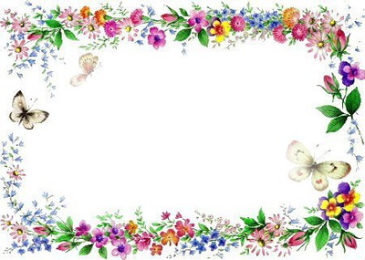 cadre papillon fleurs Фотомонтажа