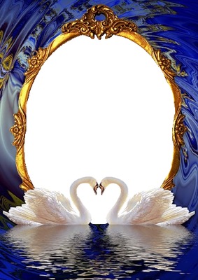 marco dorado y cisnes blancos. Photo frame effect