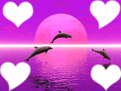 amour dauphin Valokuvamontaasi