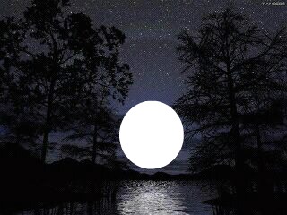 Moonlight Shadow Фотомонтажа