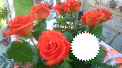 Roses Фотомонтаж
