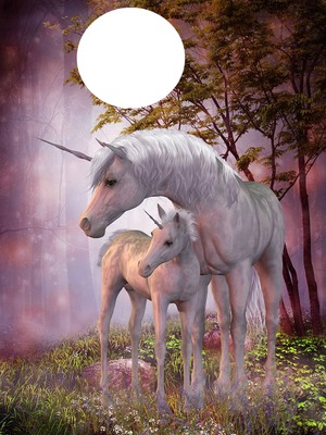 Unicorn Photomontage