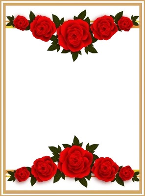 marco y rosas rojas.