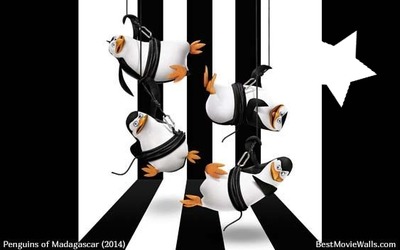 Penguins Madagascar Photomontage