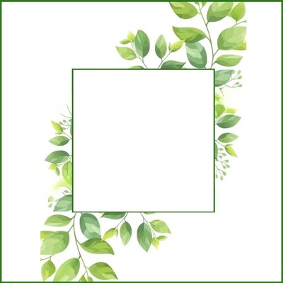 marco y hojas verdes. Fotomontaż