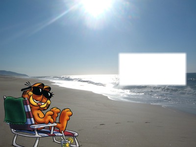 Garfiel on the beach Photo frame effect