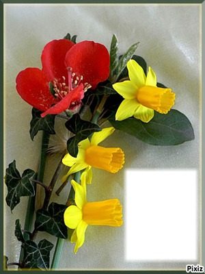 Beautée des fleurs* Fotomontage
