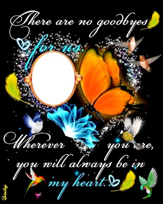 there vare no goodbyes Photo frame effect
