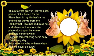 if flowers grow in heaven Photo frame effect