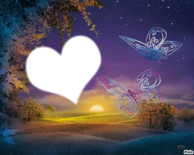 Butterflies with heart Photomontage