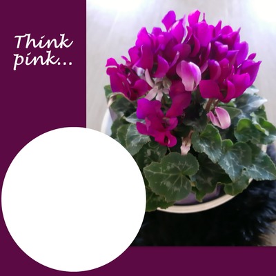 Think pink Photo frame effect