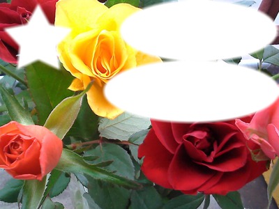 Roses Фотомонтаж