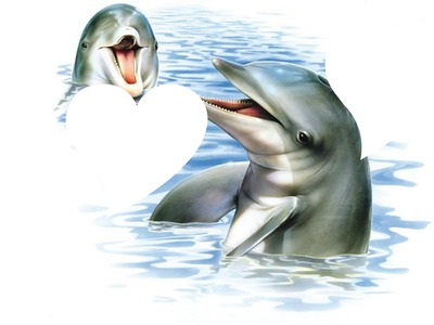 dauphins Fotomontage