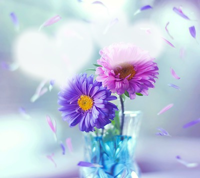 Duft der Blume #rp Фотомонтаж