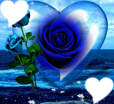 roses bleues avec coeurs フォトモンタージュ