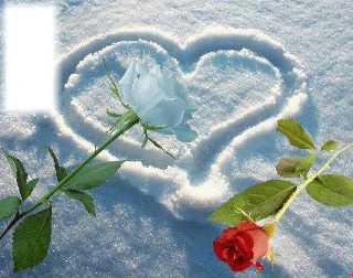 Roses + coeur avec neige Photo frame effect