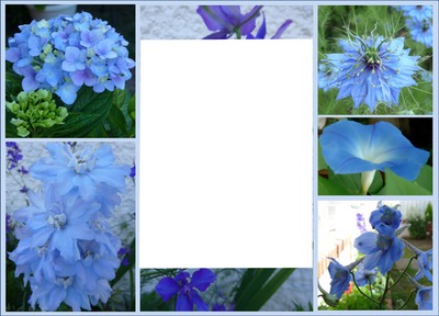 fleurs bleues Montage photo