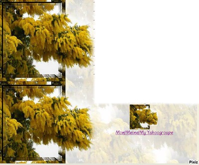 cadre mimosa 2 Fotomontasje