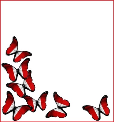 mariposas bicolor, rojo y blanco.