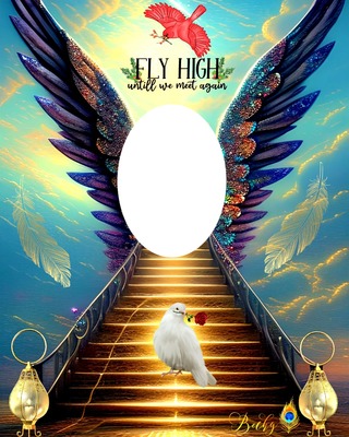 fly high Photomontage
