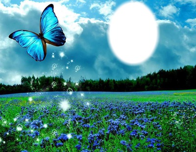 papillons bleu Fotómontázs