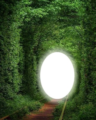 Túnel entre arboles Photo frame effect