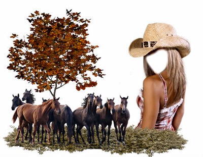 country Montage photo